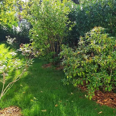 Haus Im Garten In Der Nahe Von Koln-messe *